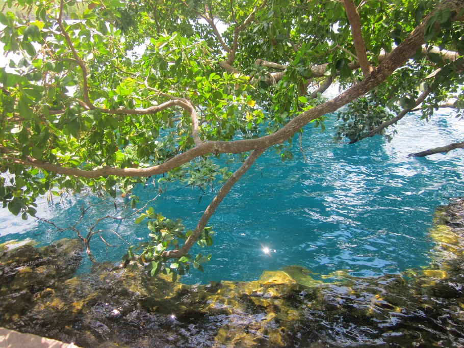 Visita cenote azul en el Pueblo Mágico de Bacalar  Playas de Mexico
