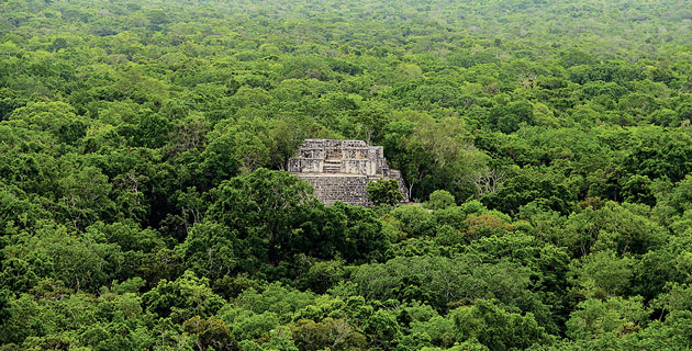 La selva salpicada de ruinas en Campeche